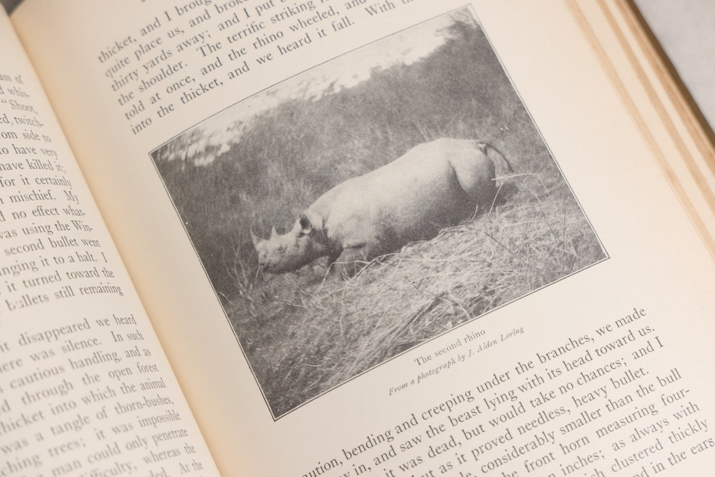 Lot 024 - "African Game Trails" Antique Safari And Natural History Book By Theodore Roosevelt, Illustrated With Photographs By Kermit Roosevelt And Drawings By Philip R. Goodwin, Published By Charles Scribner's Sons, New York, 1910