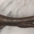 Lot 082 - Antique Cast Iron “Bully Beef” Can Opener With Cow's Head Form And Spike, 6-3/4" L
