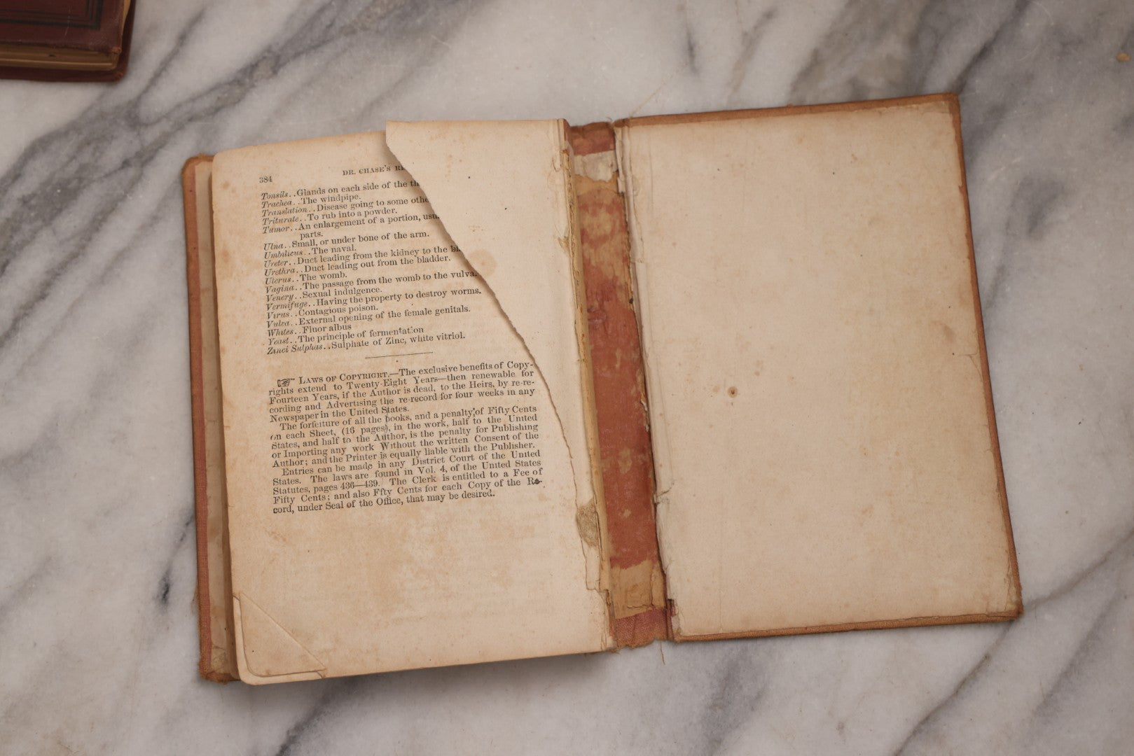 Lot 194 - Pair Of Antique Cookbooks, The Appledore Cook Book, 1883 & Dr. Chase's Recipes; Or, Information For Everybody Circa 1870
