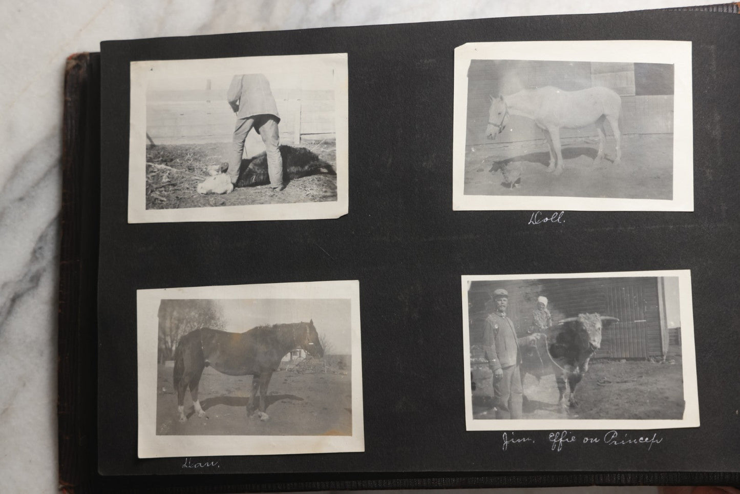 Lot 025 - Antique Snapshot Photo Album Gifted To Zella On Christmas 1916 With 1750+ Photos Of Midwest And Western Scenes Including Telluride & Greeley Colorado, Farm Life, Animals, Automobiles, Oil Wells, Early Aviation, And WWI Soldiers, 1916–1920