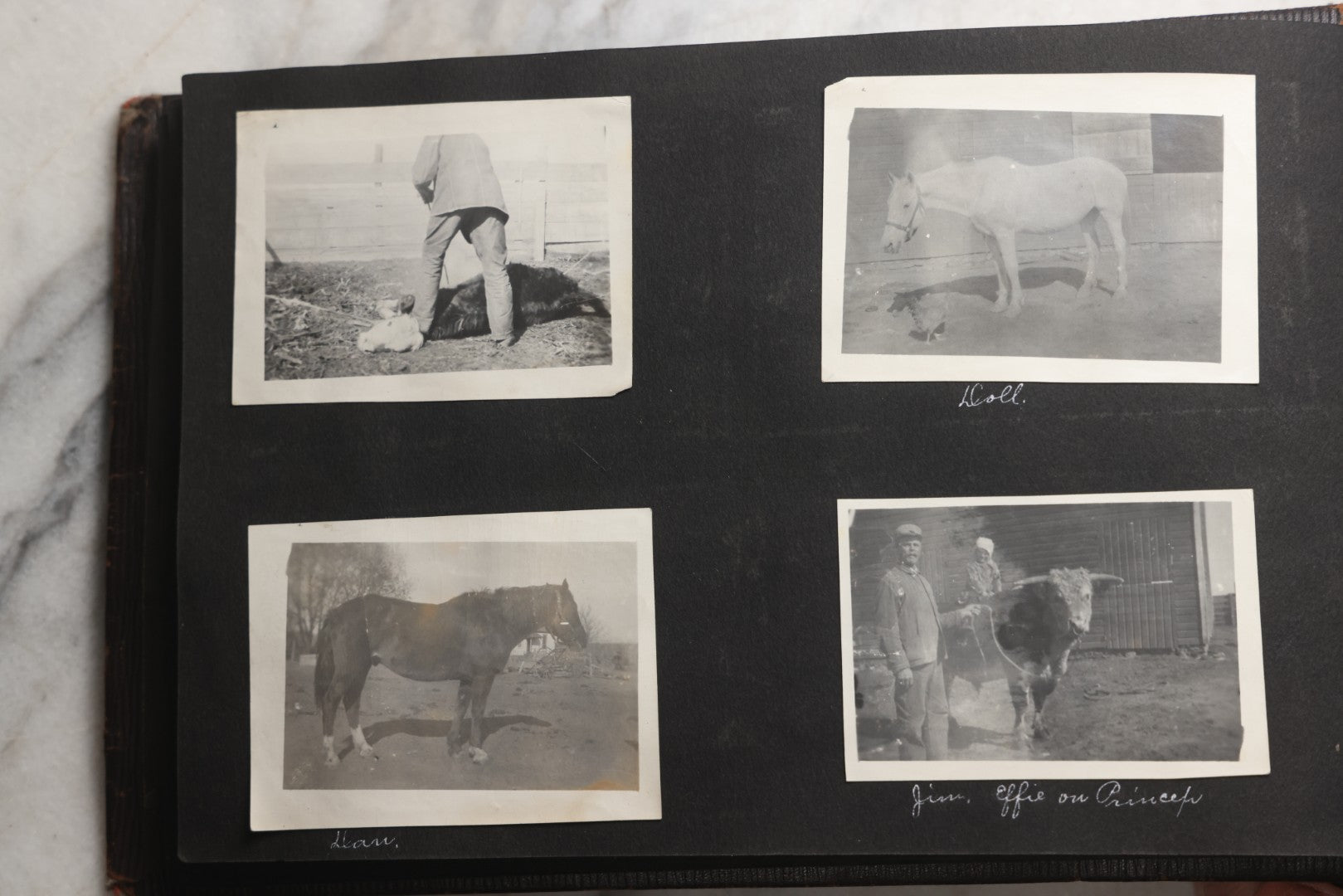 Lot 025 - Antique Snapshot Photo Album Gifted To Zella On Christmas 1916 With 1750+ Photos Of Midwest And Western Scenes Including Telluride & Greeley Colorado, Farm Life, Animals, Automobiles, Oil Wells, Early Aviation, And WWI Soldiers, 1916–1920