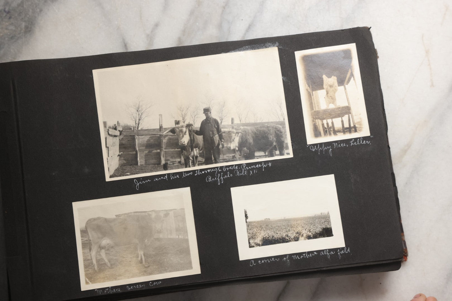 Lot 025 - Antique Snapshot Photo Album Gifted To Zella On Christmas 1916 With 1750+ Photos Of Midwest And Western Scenes Including Telluride & Greeley Colorado, Farm Life, Animals, Automobiles, Oil Wells, Early Aviation, And WWI Soldiers, 1916–1920