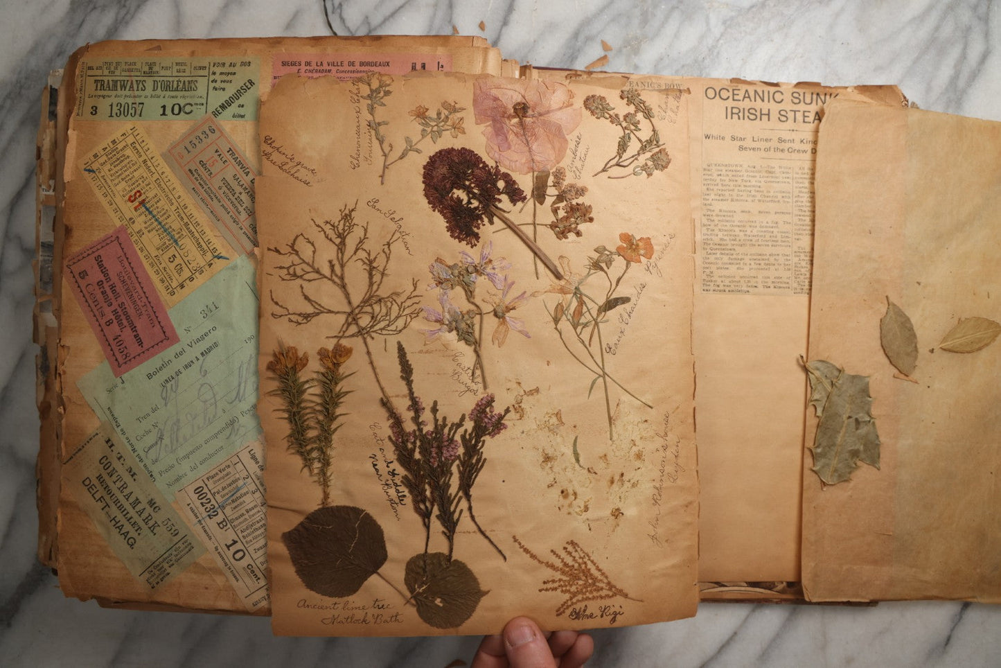 Lot 081 - Antique Marbled Paper Scrapbook Album With Board And Fabric Binding, England, Holland, France, European Travel Ephemera, Two Spreads Homemade Herbarium, Circa 1899