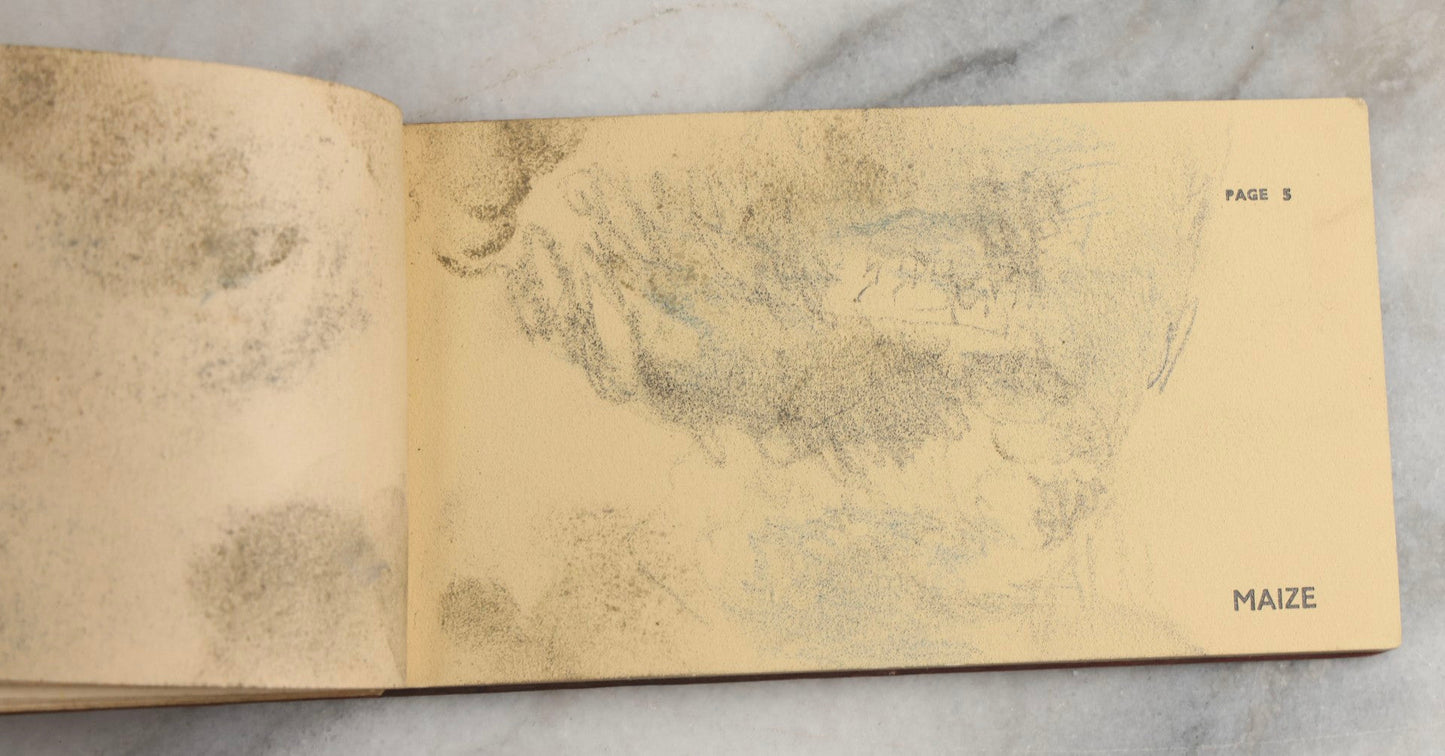 Lot 091 - Vintage Keystone And Kaveco Paint Swatch Book With Hand-Drawn Illustrations, Keystone Paint & Varnish Co., Ltd., London