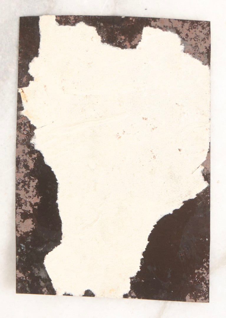 Lot 111 - Antique Tintype Photograph Of Two Bearded Men In Caps With Rambunctious Spotted Dog Seated On Lap, Dog Blurred From Motion