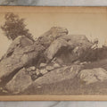 Lot 130 - Antique Large Cabinet Card Photograph Of Person Posed By Foliage And Rock Formation, Titled “A New England Pasture,” Holliston, Massachusetts