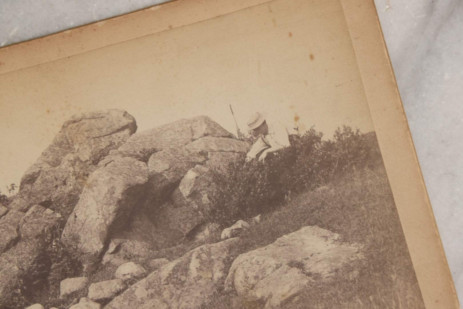 Lot 130 - Antique Large Cabinet Card Photograph Of Person Posed By Foliage And Rock Formation, Titled “A New England Pasture,” Holliston, Massachusetts