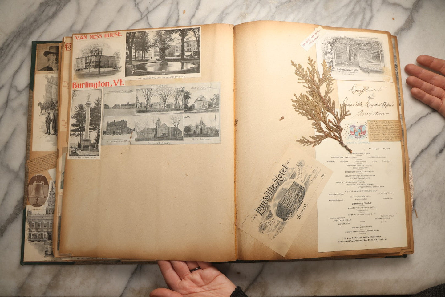 Lot 095 - Antique Washington D.C., Hudson River, Montreal, Asheville, And Maine Travel Scrapbook With Pressed Botanical Specimens, Circa  1898-1905, Note Binding Split, Pages Detached And Brittle