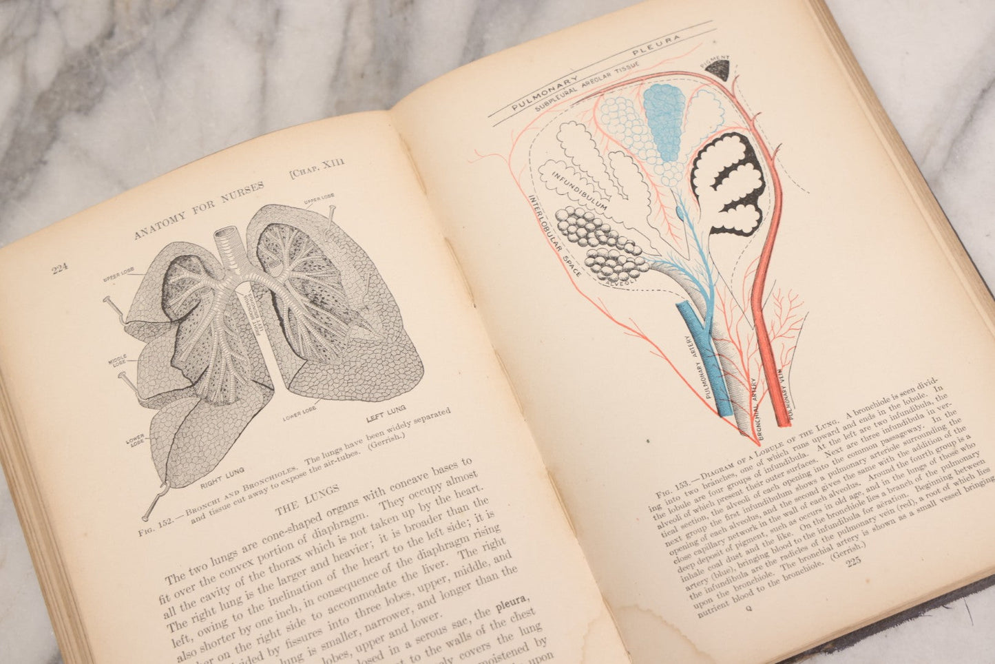 Lot 009 - "Text-Book Of Anatomy And Physiology For Nurses" Antique Medical Textbook By Diana Clifford Kimber, Illustrated, Third Edition Revised By Carolyn E. Gray, Published By The Macmillan Company, New York, 1912