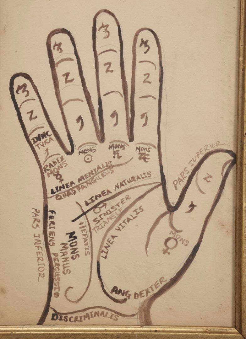 Lot 021 - Antique Palmistry Watercolor Diagram With Latin Annotations, Hand-Painted, In Antique Frame