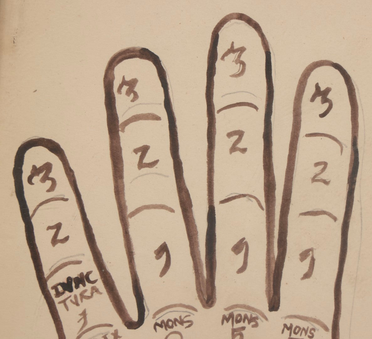 Lot 021 - Antique Palmistry Watercolor Diagram With Latin Annotations, Hand-Painted, In Antique Frame