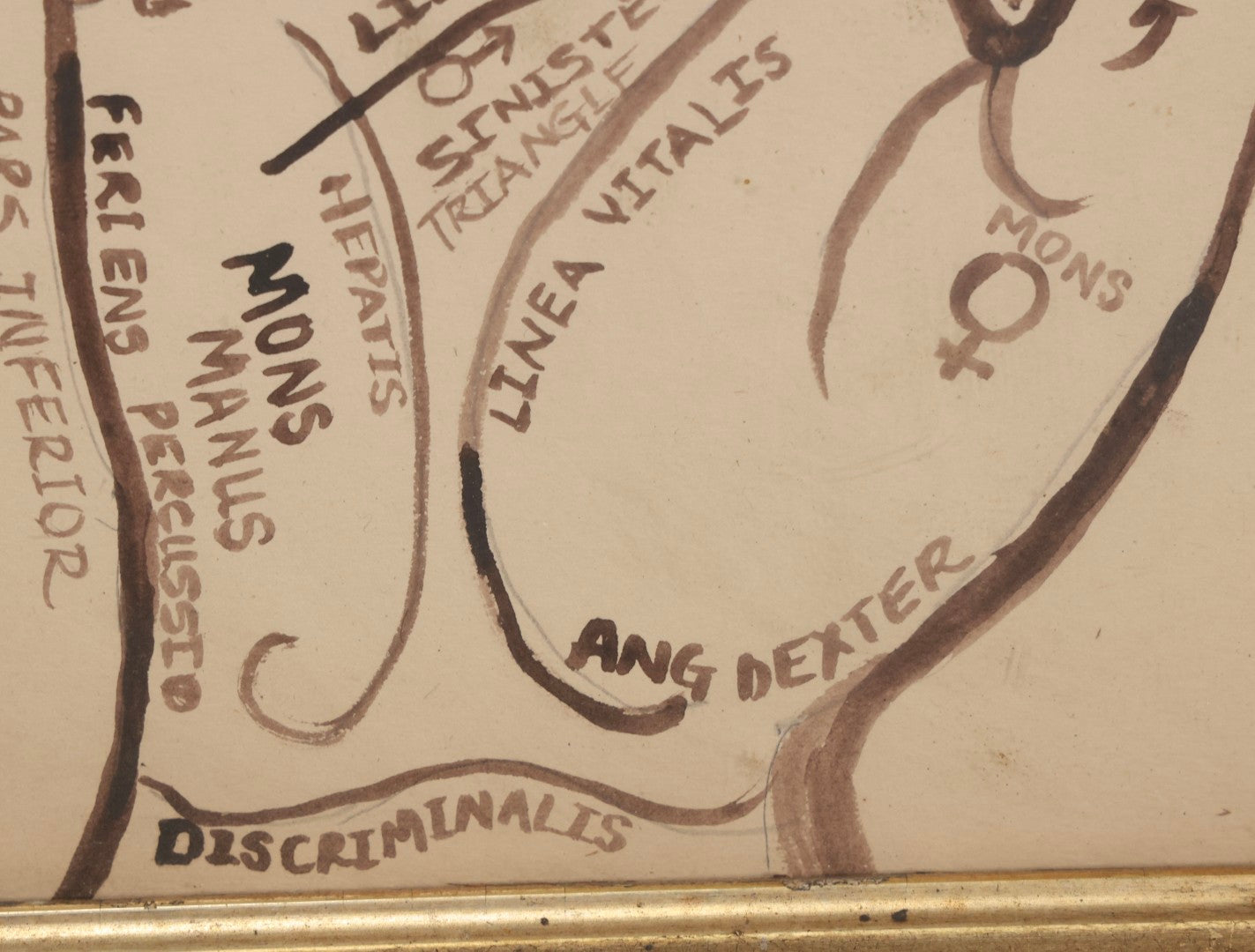 Lot 021 - Antique Palmistry Watercolor Diagram With Latin Annotations, Hand-Painted, In Antique Frame