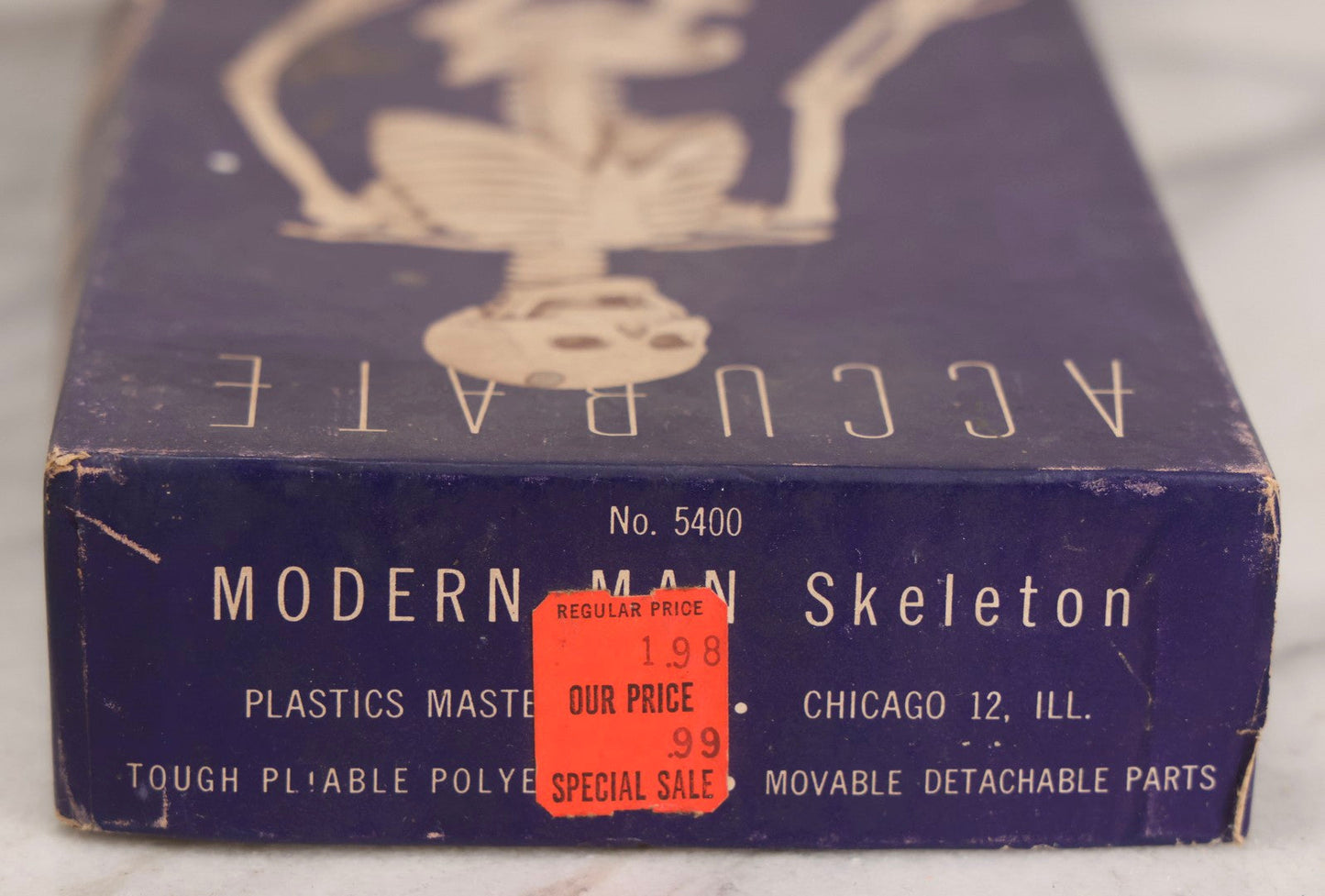 Lot 027 - Vintage “Accurate Modern Man Skeleton” Cardboard Display Box With Skeleton Graphics, Plastics Masters Inc., Chicago