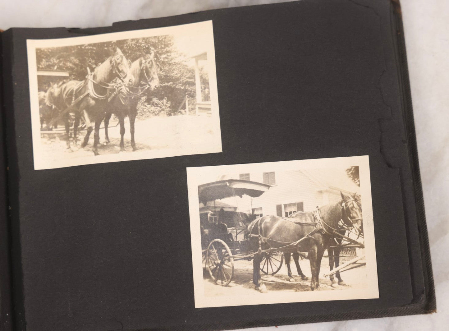 Lot 067 - Early 20th Century Snapshot Photo Album With 150+ Photographs, Connecticut And New England Travel, Horses, Dogs, And Coastal Scenes, Circa 1910–1920