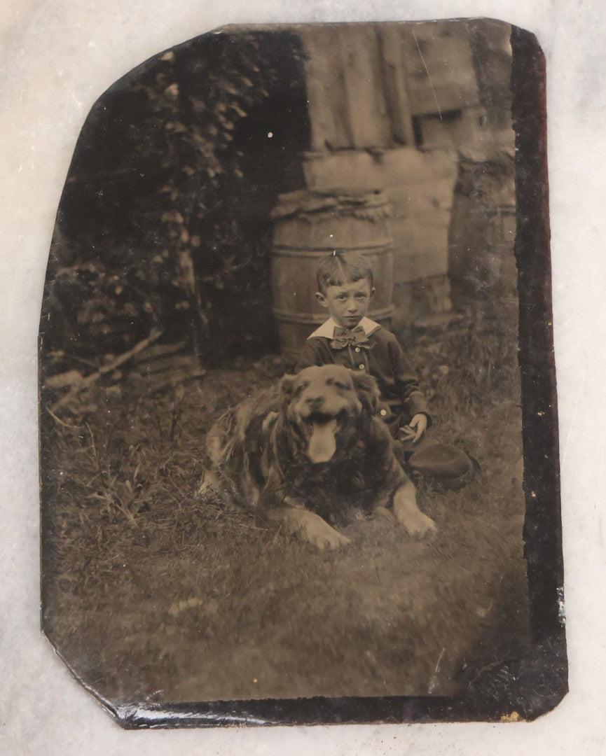 Lot 135 - Antique Uncased Tintype Photograph Depicting Young Boy And His Really, Really Happy Dog In Outdoor Setting