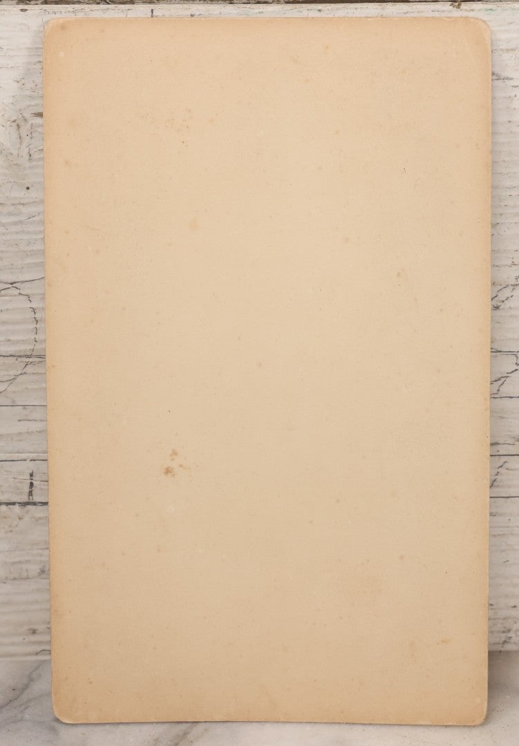 Lot 150 - Antique Boudoir-Sized Cabinet Card Photograph Depicting Street Scene Aftermath Of Great Blizzard Of 1888, New York City, With Snow Banks, Pedestrians, And "Butterick's Patterns" Storefront Visible