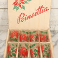 Lot 100 - Vintage Set Of Eight Poinsettia Tumblers In Original Box, Glasses 5" H Each