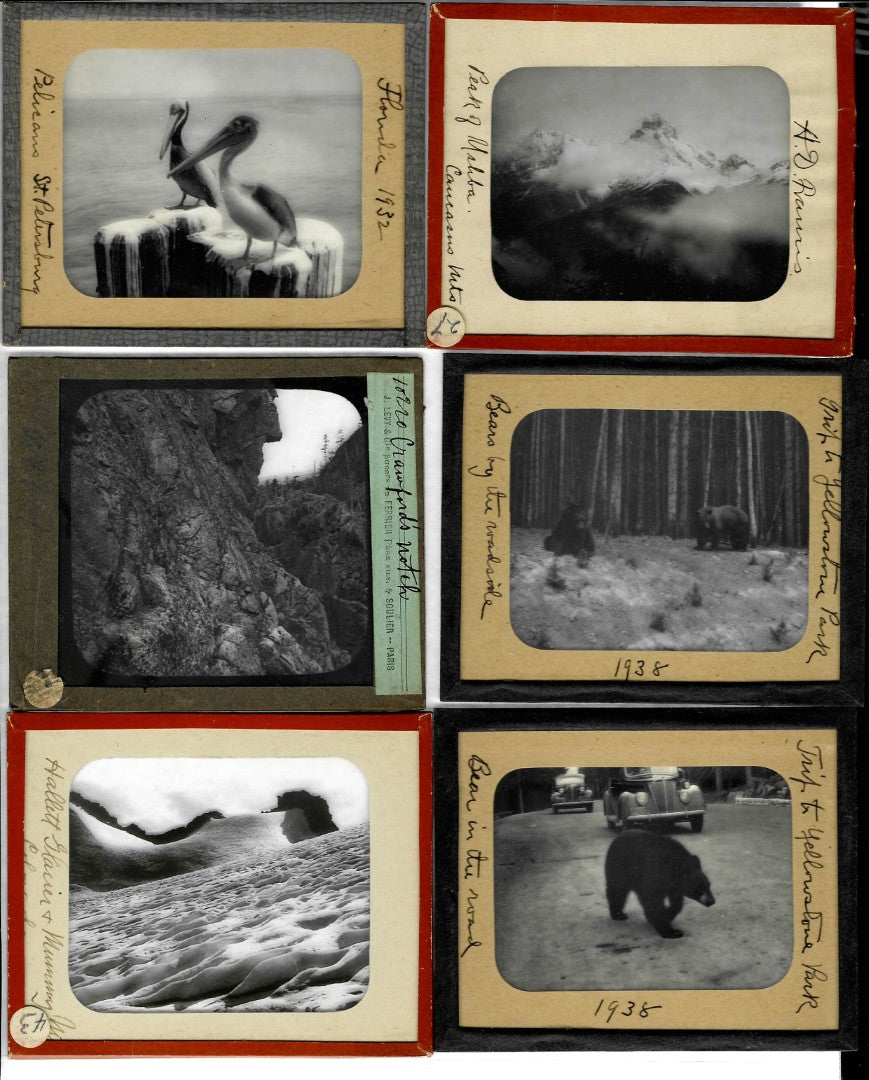 Lot 151 - Grouping Of 44 Vintage Black And White Magic Lantern Photo Slides Photographed By Arthur D. Francis, Circa 1930s With Handwritten Notes, Including Travel Scenes, Landscapes, Architecture, Animals, In Storage Box