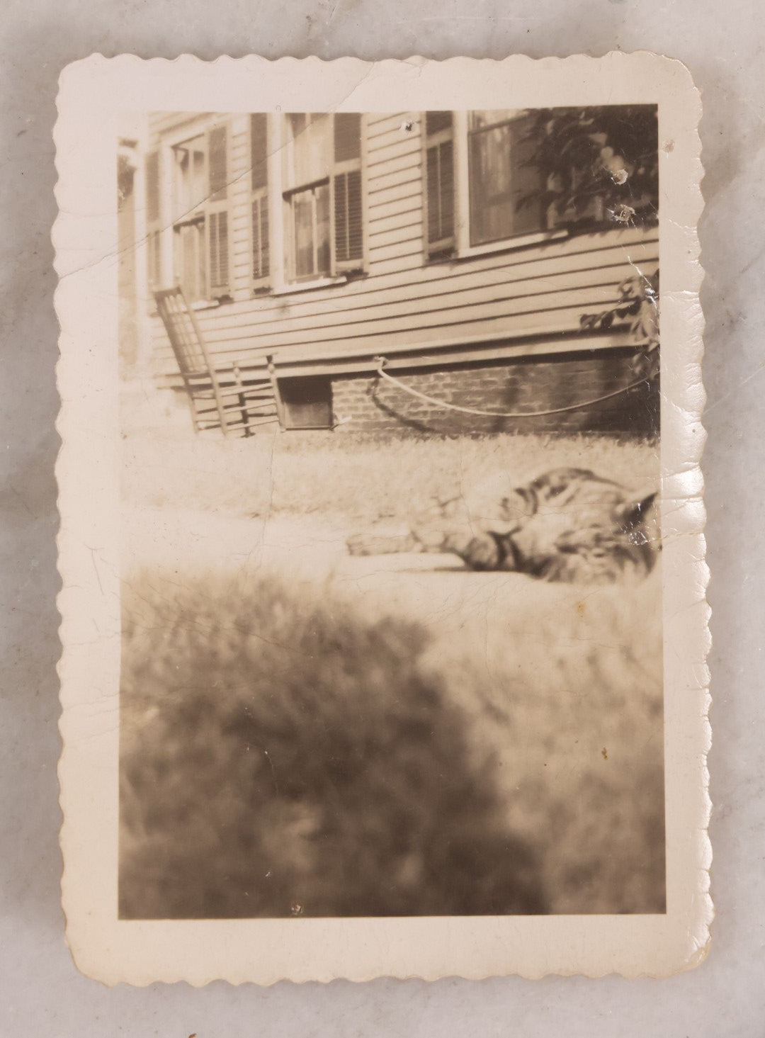 Lot 187 - Grouping Of 13 Pieces Miscellaneous Antique And Vintage Cat Ephemera Including Postcards, Mounted Photographs, And Snapshots