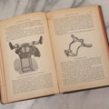 Lot 233 - "The Diseases Of Women" Antique Gynecology And Obstetrics Medical Book By Heinrich Fritsch, Translated By Isidor Furst, Published By William Wood & Company, New York, 1883, With 159 Wood Engravings