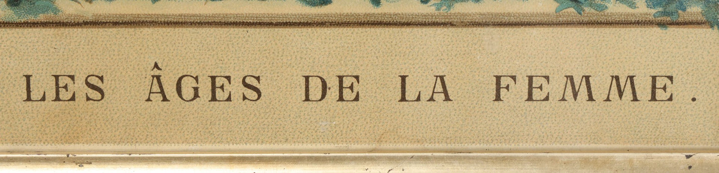 Lot 016 - Antique French Chromolithograph Print, "Les Ages De La Femme" ("The Ages Of Woman"), Stages Of Life From Birth To 100 Years, In Period Frame