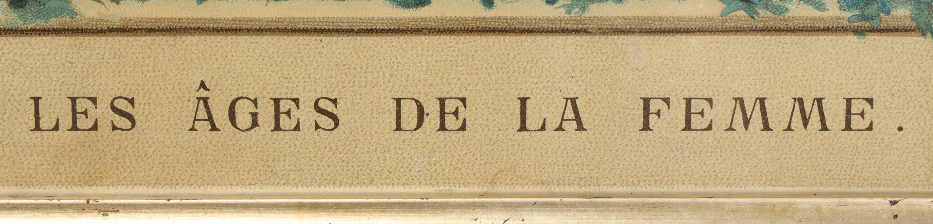 Lot 016 - Antique French Chromolithograph Print, "Les Ages De La Femme" ("The Ages Of Woman"), Stages Of Life From Birth To 100 Years, In Period Frame