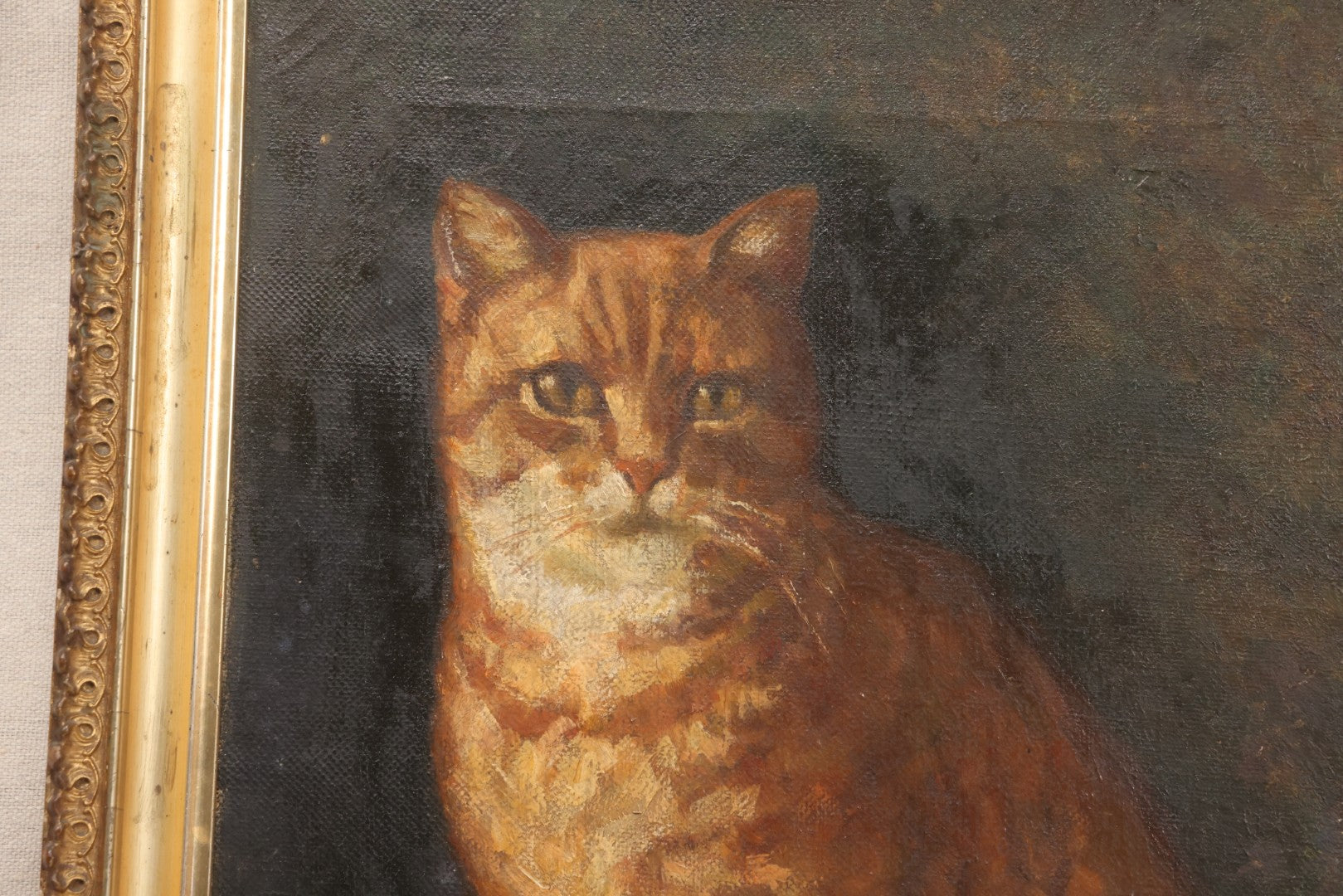 Lot 018 - Vintage Oil Painting On Canvas, Portrait Painting Of A Ginger Tabby Cat, Unsigned, In Gilt Frame