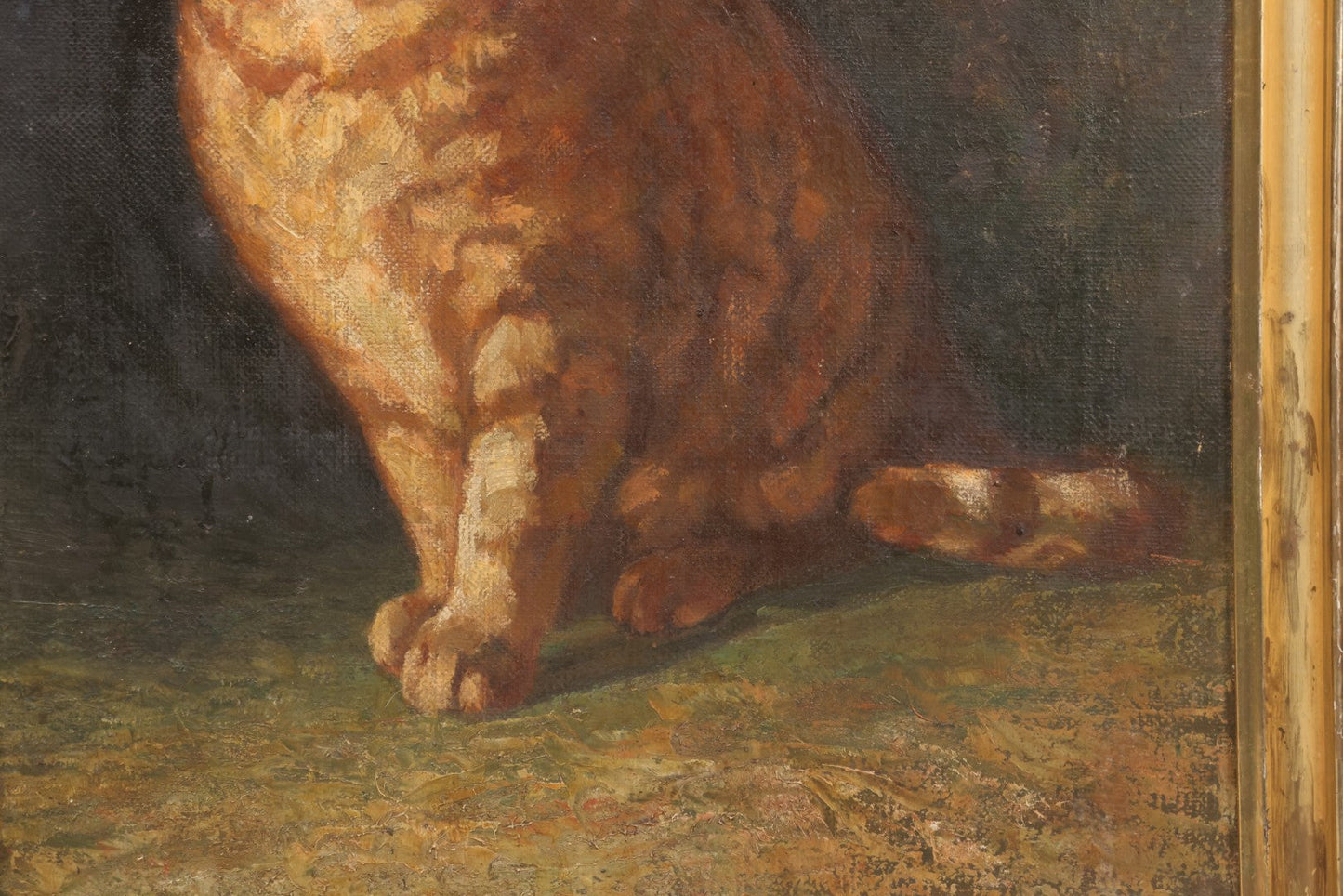Lot 018 - Vintage Oil Painting On Canvas, Portrait Painting Of A Ginger Tabby Cat, Unsigned, In Gilt Frame