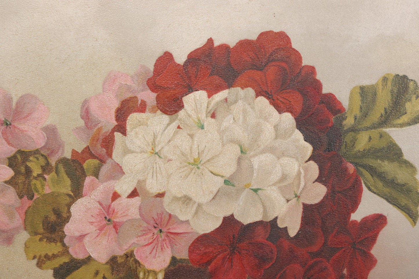 Lot 020 - Antique Oil On Board Floral Still Life Painting Of Geraniums In A Brown Vase, In Gilt Frame