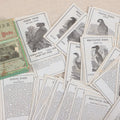 Lot 041 - Antique "Avilude Or Game Of Birds" Card Game By West & Lee Game Company, Worcester, Massachusetts, Patented 1873, With Bird Engravings