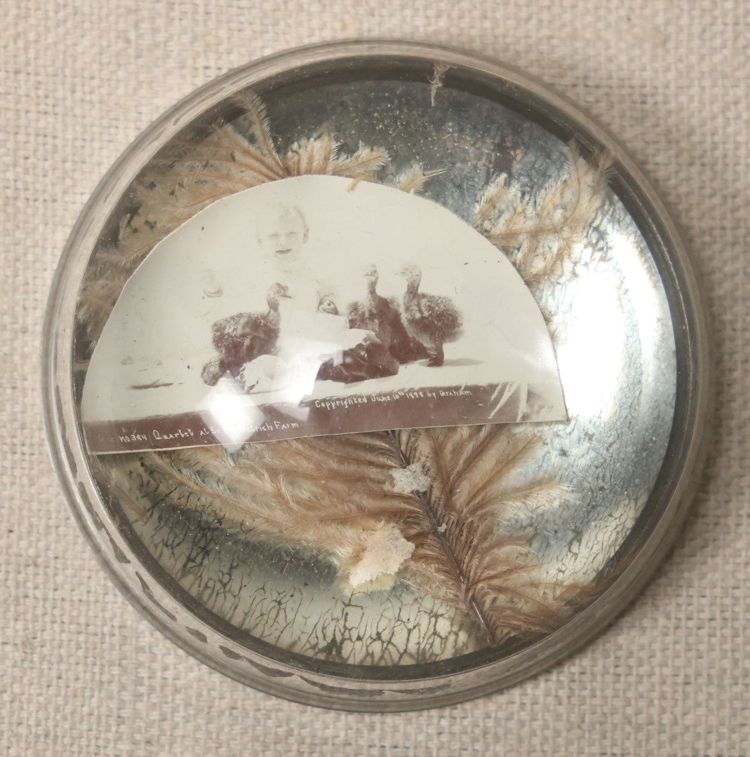 Lot 052 - Antique Glass Paperweight With Ostrich Feathers, Mirror Back, And Photograph Of Ostrich Chicks And Child At South Pasadena Ostrich Farm, Copyrighted 1898 By Graham