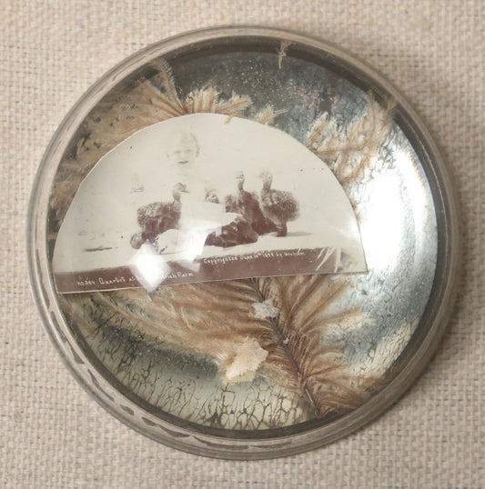 Lot 052 - Antique Glass Paperweight With Ostrich Feathers, Mirror Back, And Photograph Of Ostrich Chicks And Child At South Pasadena Ostrich Farm, Copyrighted 1898 By Graham