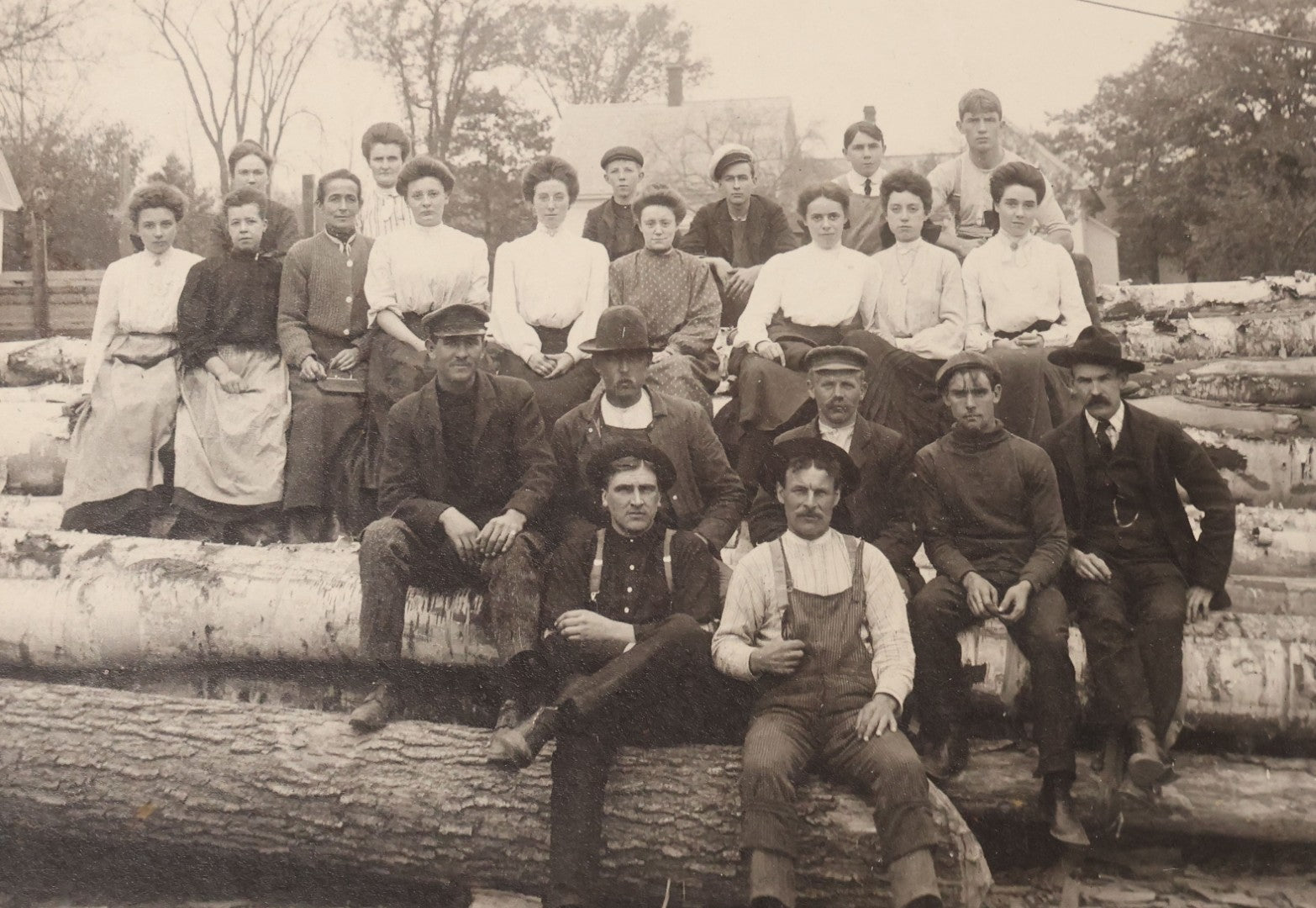 Lot 099 - Antique Board-Mounted Occupational Photograph Of A Lumber Crew, Men And Women Posed On Stacked Logs