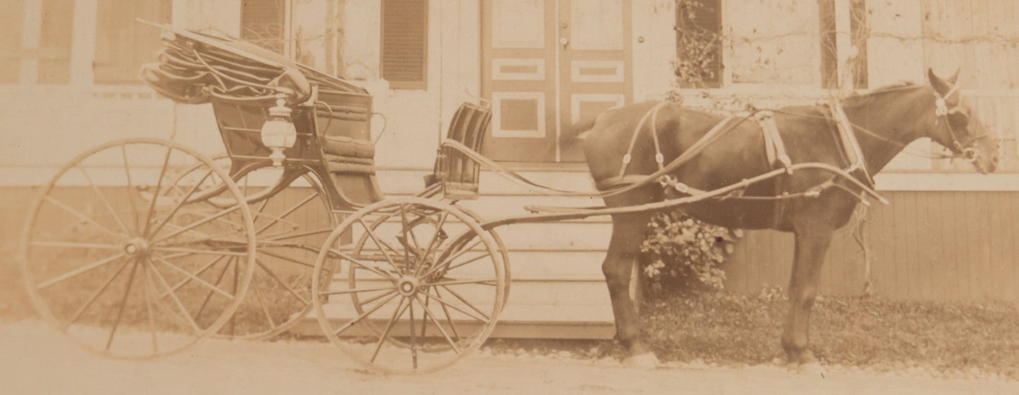 Lot 101 - Pair Of Antique Board-Mounted Photographs Of Horse-Drawn Vehicles, Cabinet Card And Boudoir-Size Card Formats