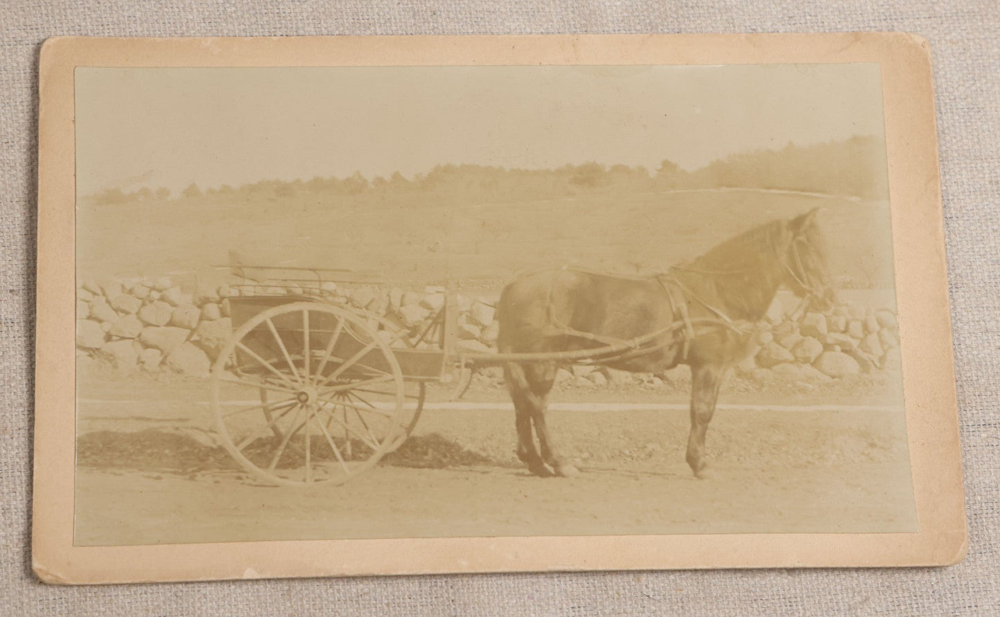 Lot 101 - Pair Of Antique Board-Mounted Photographs Of Horse-Drawn Vehicles, Cabinet Card And Boudoir-Size Card Formats