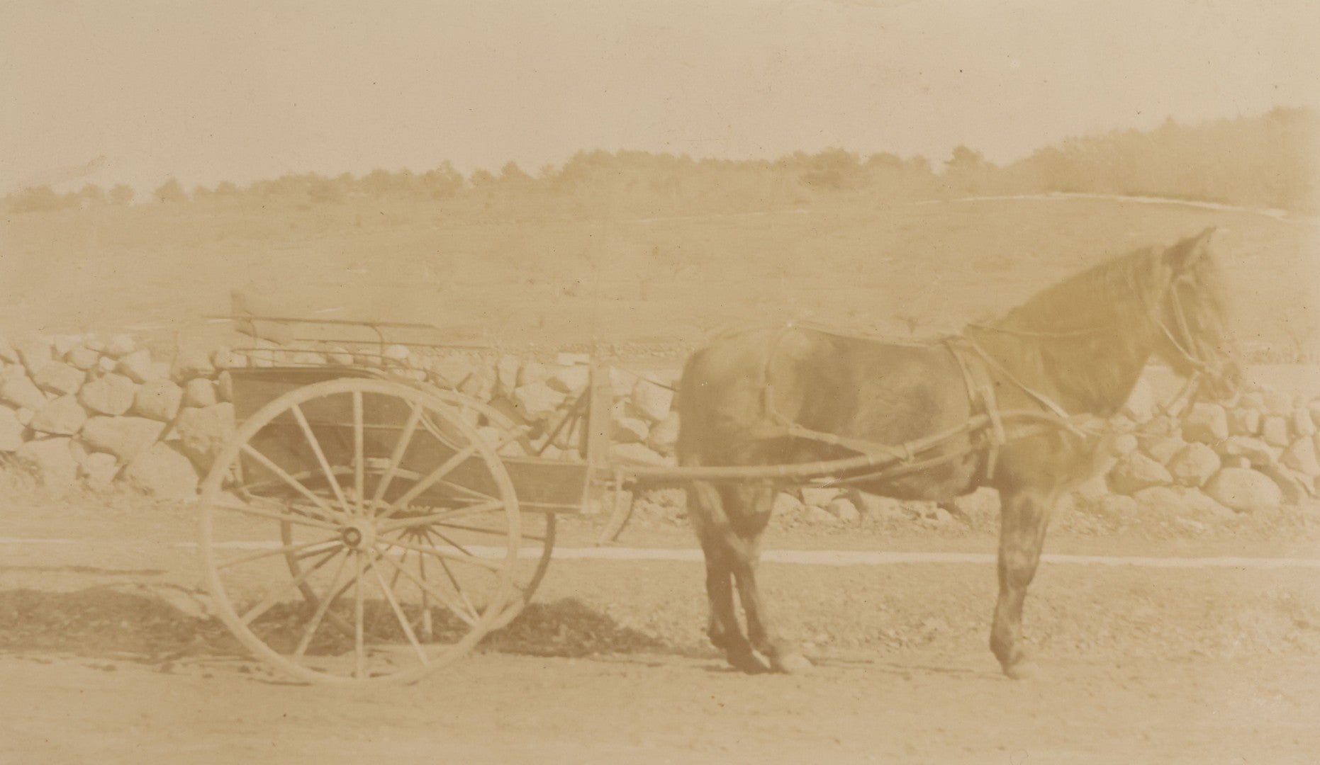 Lot 101 - Pair Of Antique Board-Mounted Photographs Of Horse-Drawn Vehicles, Cabinet Card And Boudoir-Size Card Formats