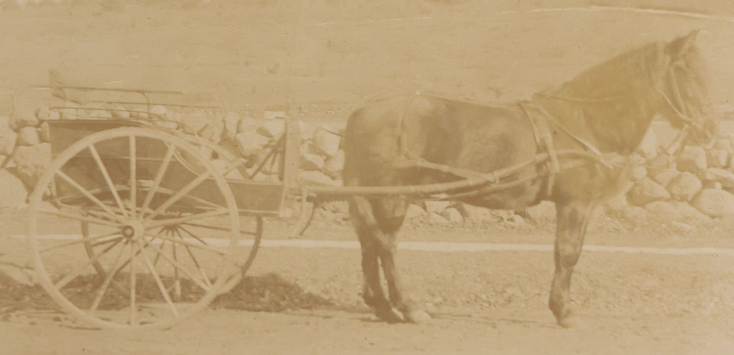 Lot 101 - Pair Of Antique Board-Mounted Photographs Of Horse-Drawn Vehicles, Cabinet Card And Boudoir-Size Card Formats