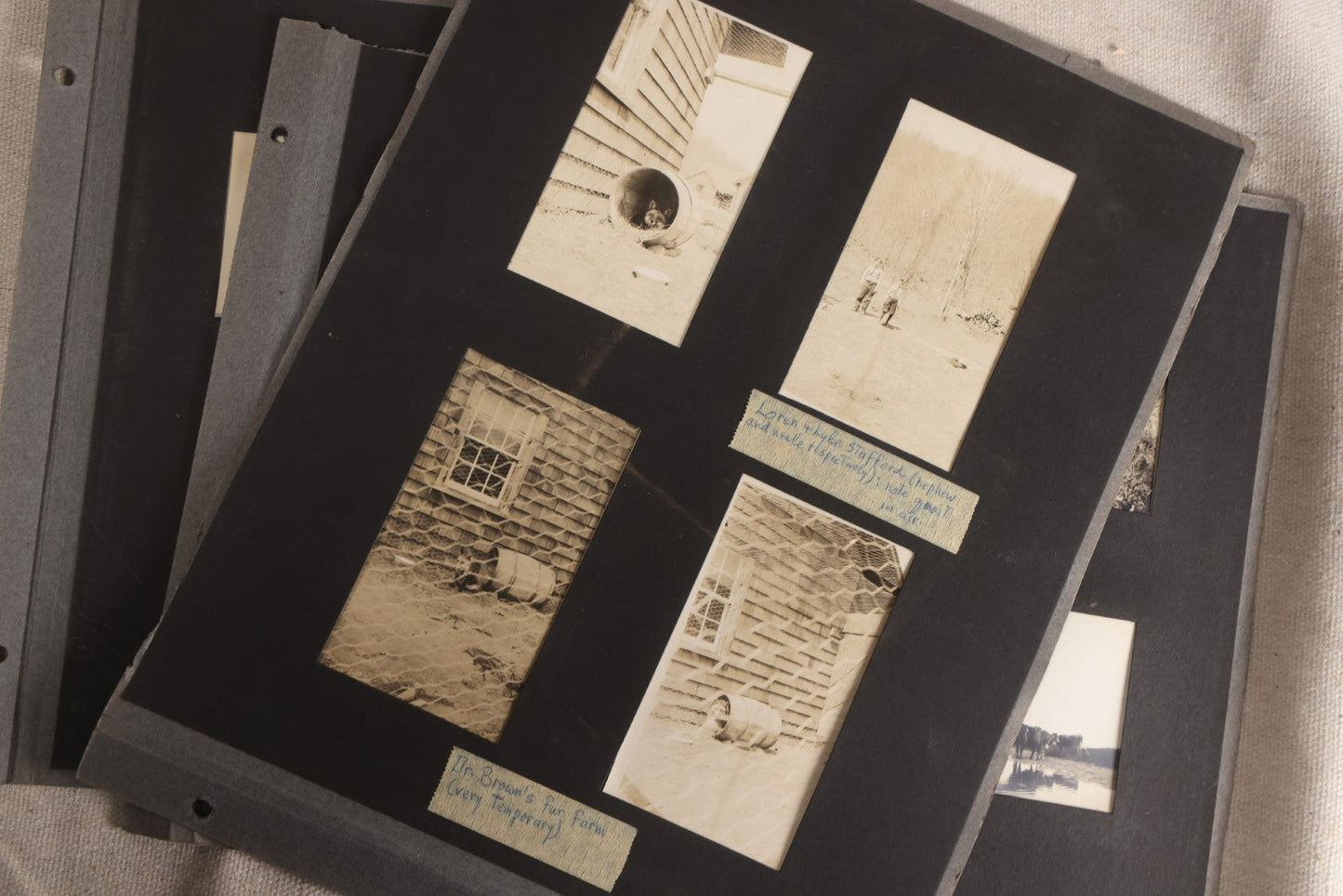 Lot 112 - Grouping Of 45+ Antique Snapshot Photographs On Loose Album Pages, Circa 1915, Dr. Brown's Adirondack Camp At Lake George, Sag Harbor, Quogue Pond, And Marlboro, New York