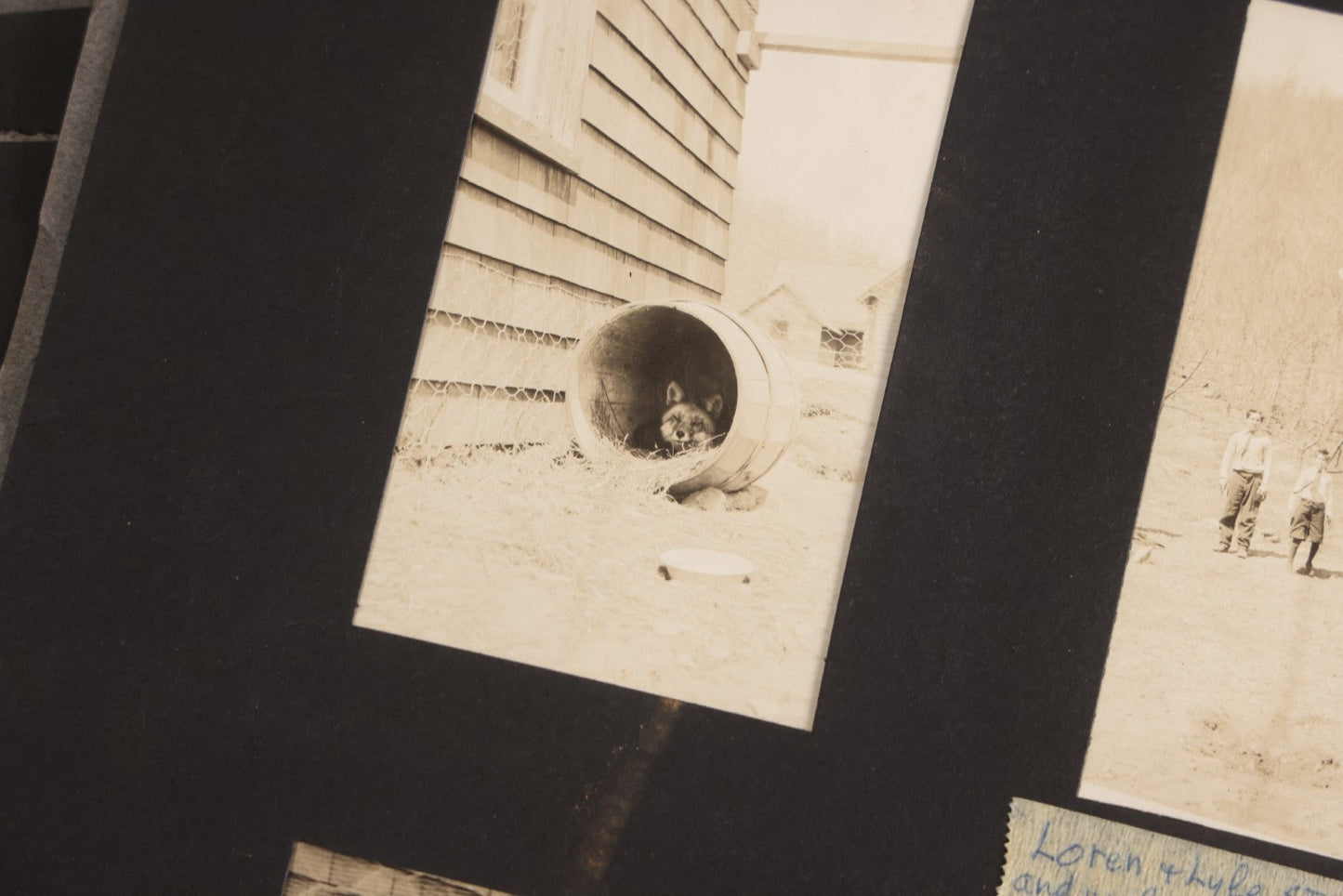 Lot 112 - Grouping Of 45+ Antique Snapshot Photographs On Loose Album Pages, Circa 1915, Dr. Brown's Adirondack Camp At Lake George, Sag Harbor, Quogue Pond, And Marlboro, New York
