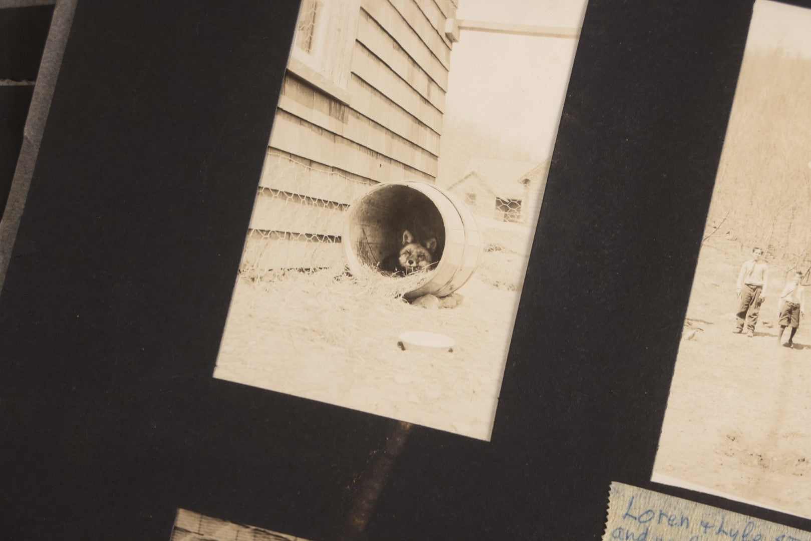 Lot 112 - Grouping Of 45+ Antique Snapshot Photographs On Loose Album Pages, Circa 1915, Dr. Brown's Adirondack Camp At Lake George, Sag Harbor, Quogue Pond, And Marlboro, New York