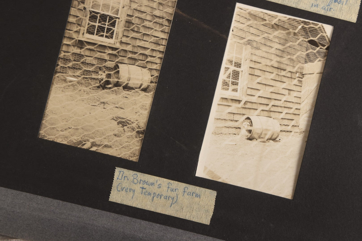 Lot 112 - Grouping Of 45+ Antique Snapshot Photographs On Loose Album Pages, Circa 1915, Dr. Brown's Adirondack Camp At Lake George, Sag Harbor, Quogue Pond, And Marlboro, New York