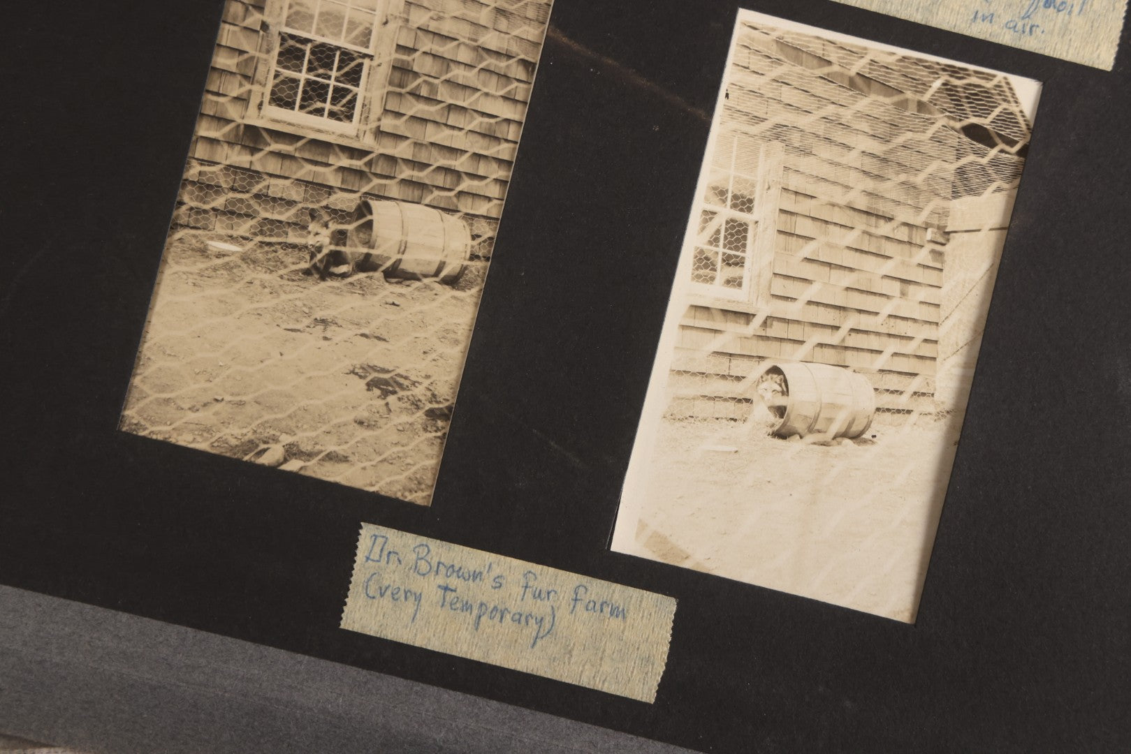 Lot 112 - Grouping Of 45+ Antique Snapshot Photographs On Loose Album Pages, Circa 1915, Dr. Brown's Adirondack Camp At Lake George, Sag Harbor, Quogue Pond, And Marlboro, New York