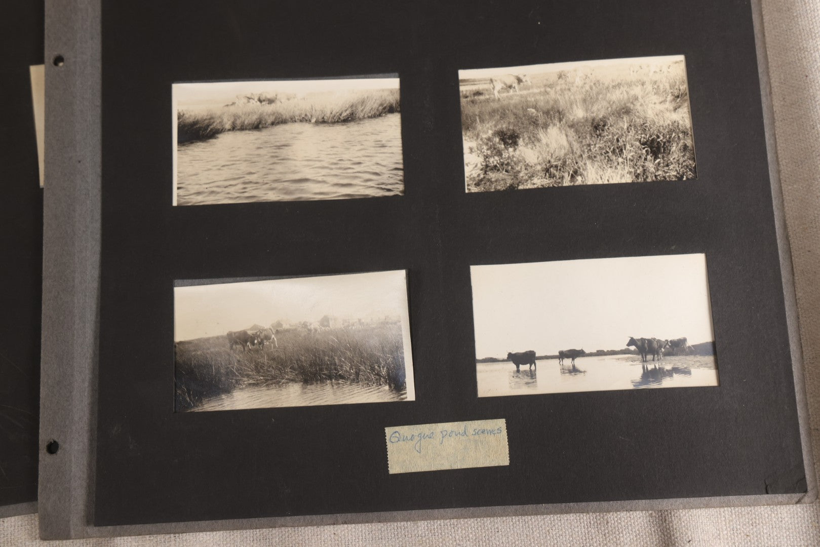 Lot 112 - Grouping Of 45+ Antique Snapshot Photographs On Loose Album Pages, Circa 1915, Dr. Brown's Adirondack Camp At Lake George, Sag Harbor, Quogue Pond, And Marlboro, New York