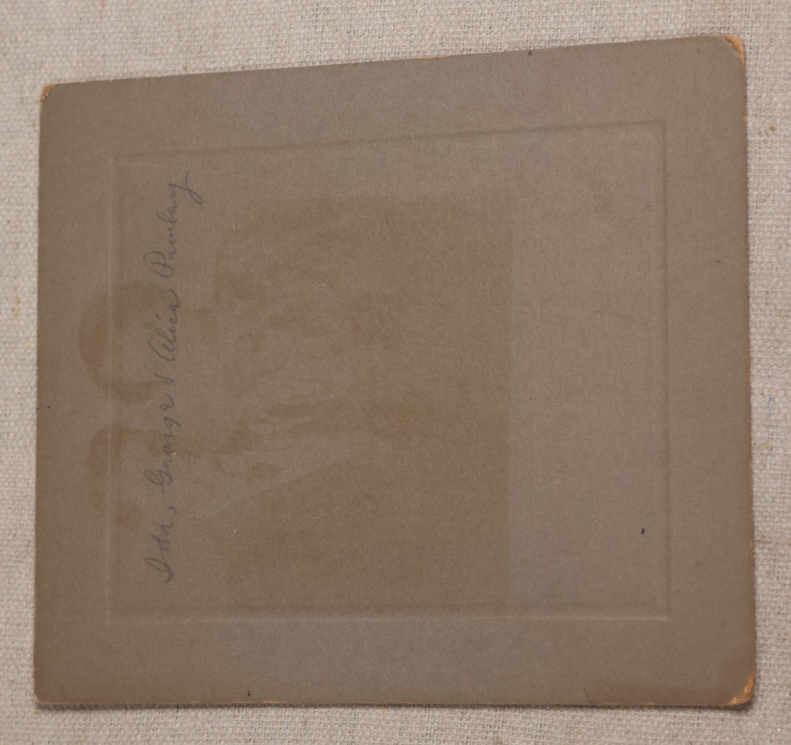 Lot 115 - Grouping Of Six Antique Board-Mounted Photographs Of Children, Including American Flag, Pet Bunnies, Pet Chickens, Doll In Pram, And Winter Sled Scene