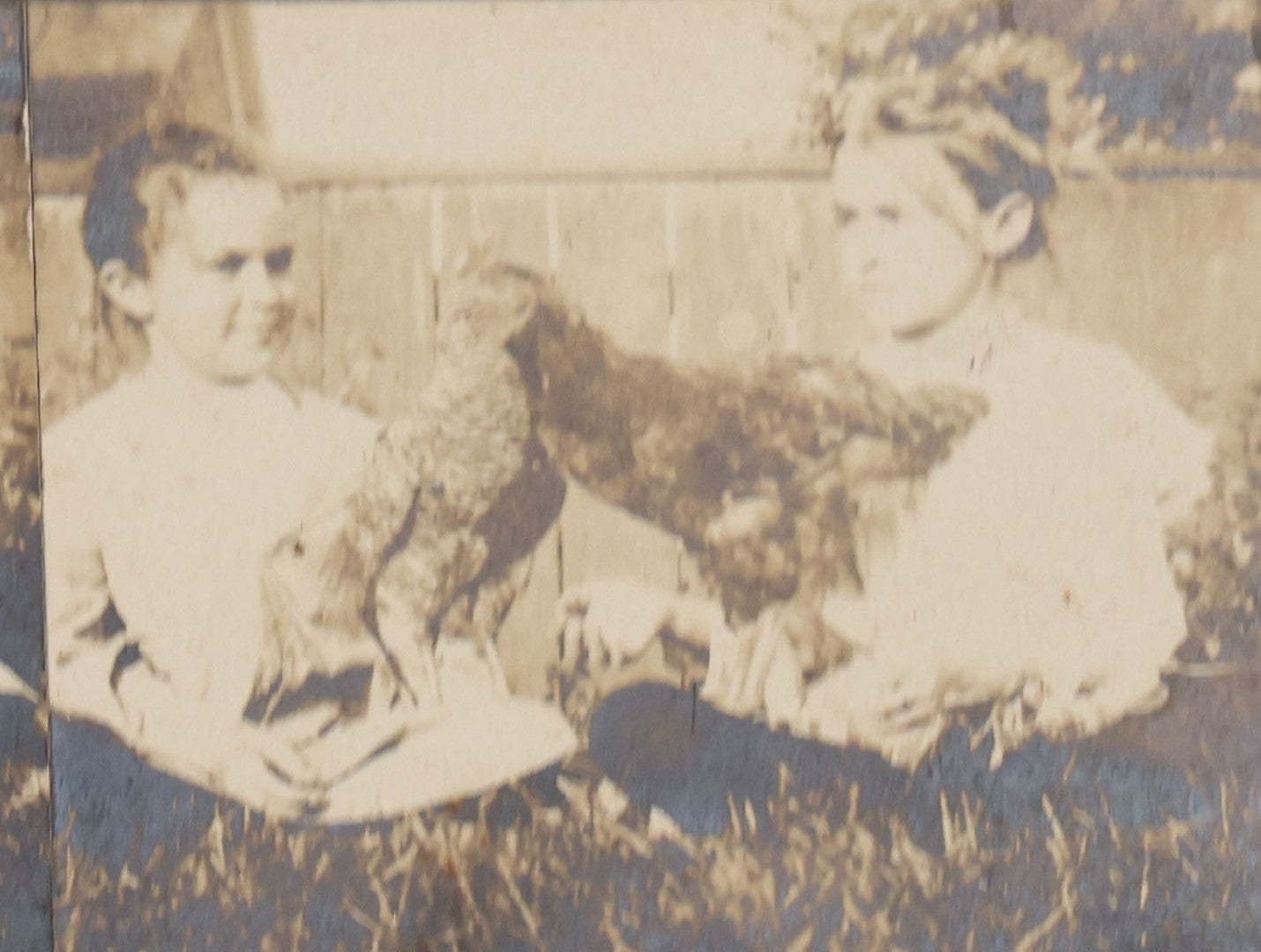 Lot 115 - Grouping Of Six Antique Board-Mounted Photographs Of Children, Including American Flag, Pet Bunnies, Pet Chickens, Doll In Pram, And Winter Sled Scene