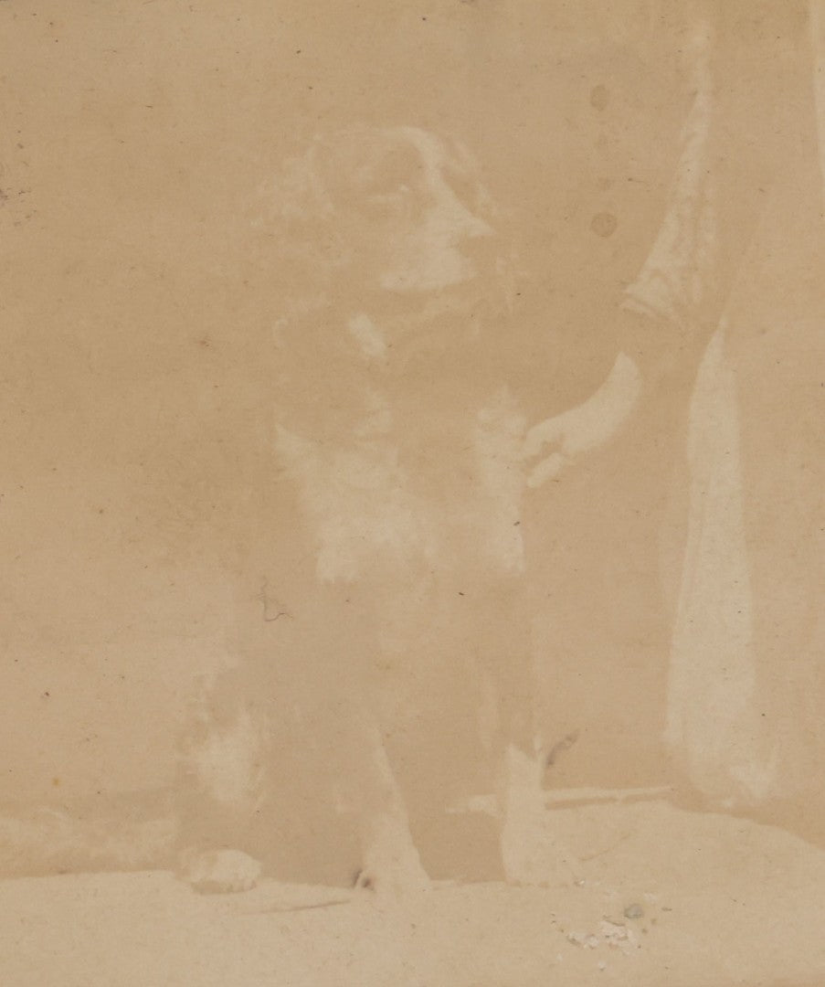 Lot 116 - Grouping Of Five Antique Board-Mounted Photographs, Including Bird Hunting With Shotguns, Woman With Lute, Uniformed Man With Horn Lapel Pin, And Dog On A Stoop