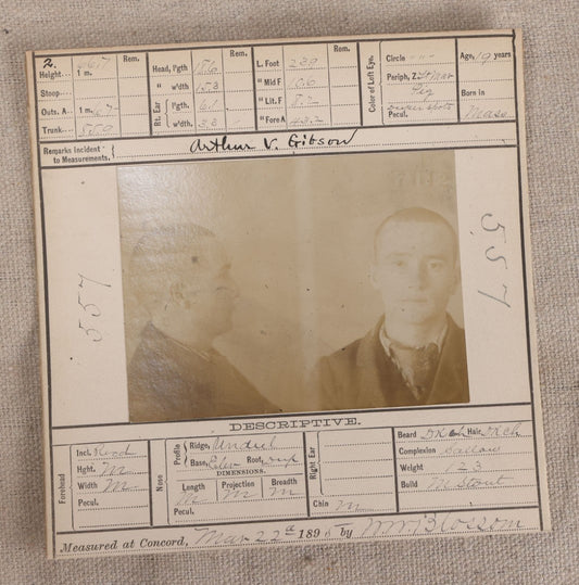 Lot 138 - Antique Real-Photo Police Mugshot And Arrest Card For Arthur V. Gibson, Arrested For Larceny, Massachusetts Reformatory, Concord, Massachusetts, 1895