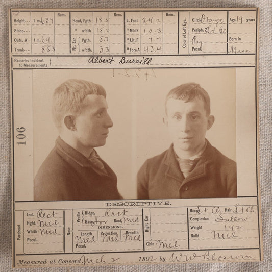 Lot 155 - Antique Real-Photo Police Mugshot And Arrest Card For Albert Burrill, Arrested For Larceny, Massachusetts Reformatory, Concord, Massachusetts, 1892