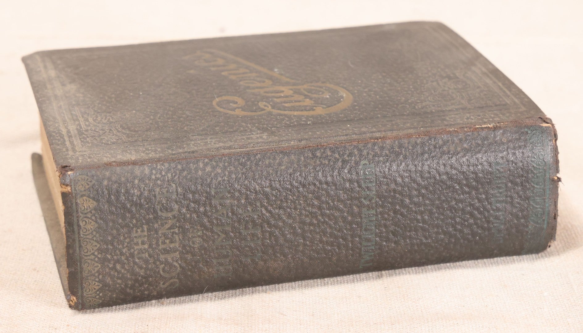 Lot 231 - "Nature's Secrets Revealed: Scientific Knowledge Of The Laws Of Sex Life And Heredity Or Eugenics" Antique Book By T. W. Shannon, Published By The S. A. Mullikin Company, Marietta, Ohio, 1915