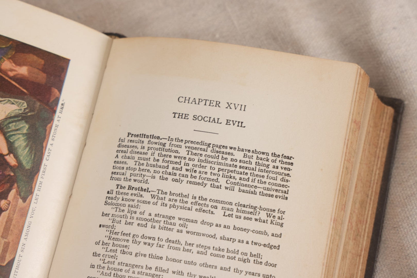 Lot 231 - "Nature's Secrets Revealed: Scientific Knowledge Of The Laws Of Sex Life And Heredity Or Eugenics" Antique Book By T. W. Shannon, Published By The S. A. Mullikin Company, Marietta, Ohio, 1915